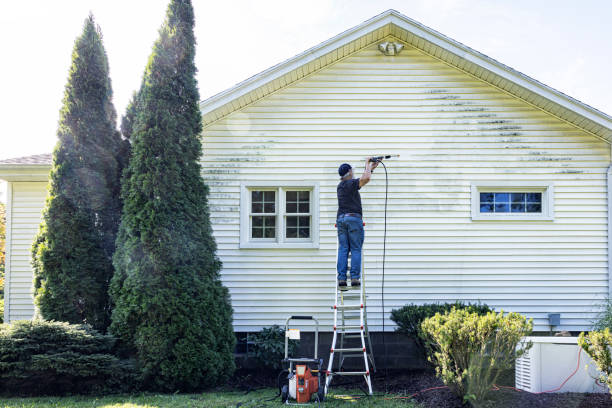 Best Gutter Cleaning  in New Hackensack, NY